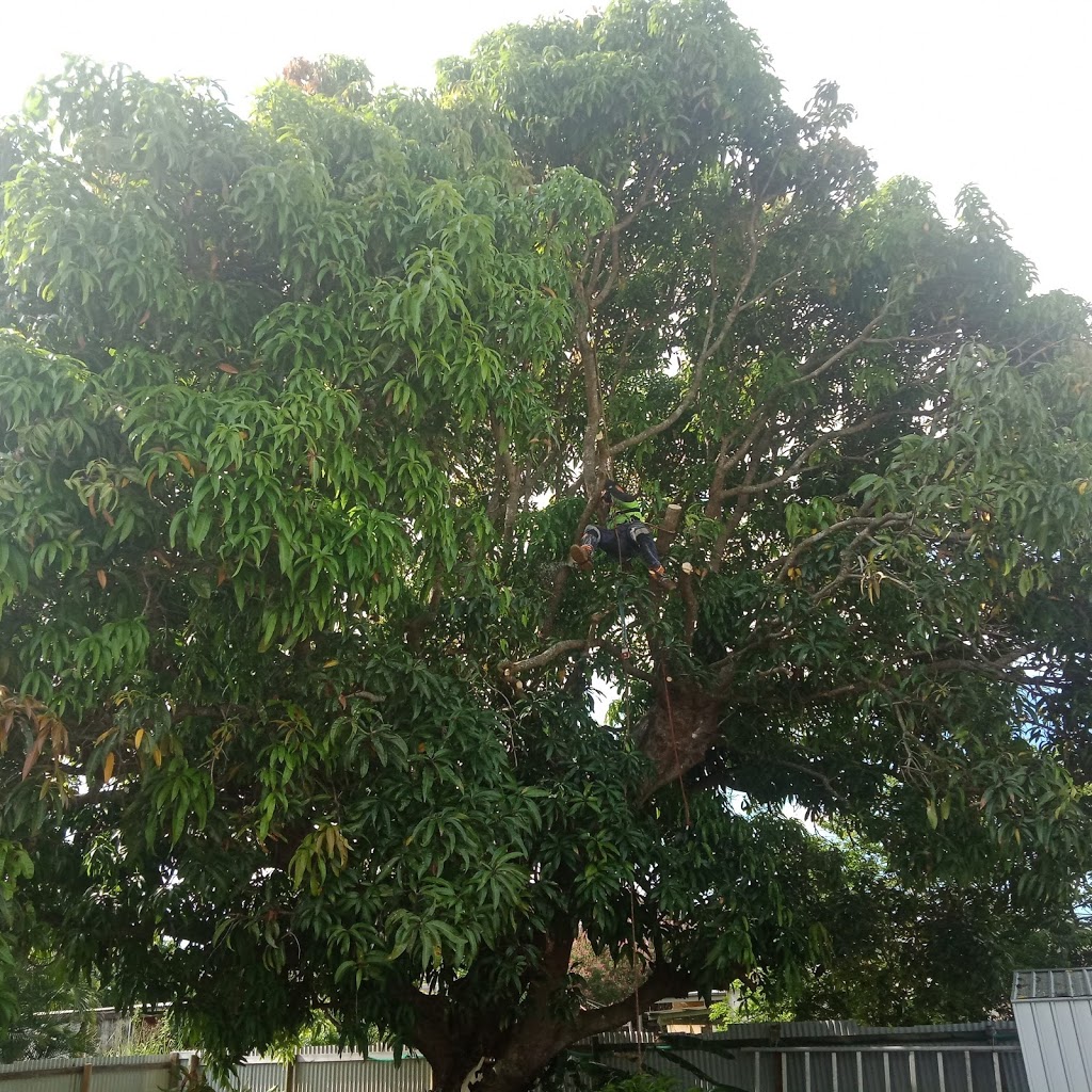 GDays Tree Care - Tree Removal Mackay | 182 Shoal Point Rd, Shoal Point QLD 4750, Australia | Phone: 0428 424 018