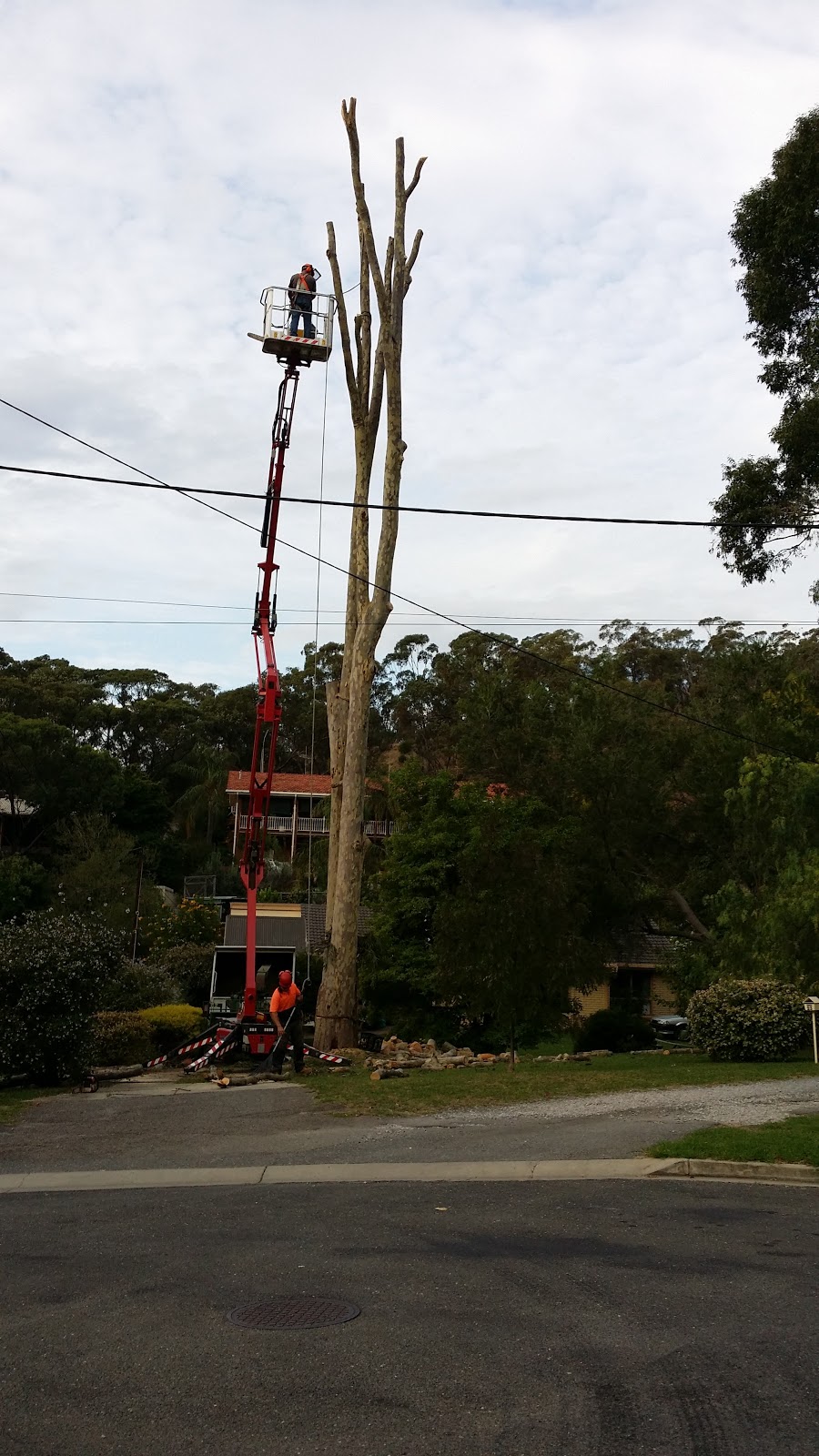 Adelaides Affordable Tree Removal Tree Removal Adelaide |  | 350 Bains Rd, Onkaparinga Hills SA 5163, Australia | 0883253137 OR +61 8 8325 3137