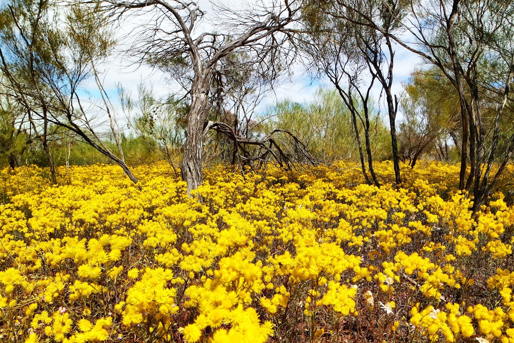 Coalseam Conservation Park | Western Australia 6522, Australia