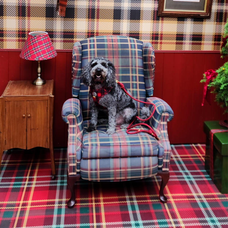 Hendricks and Maple | Great Western Hwy, Mount Victoria NSW 2786, Australia | Phone: 0422 617 897