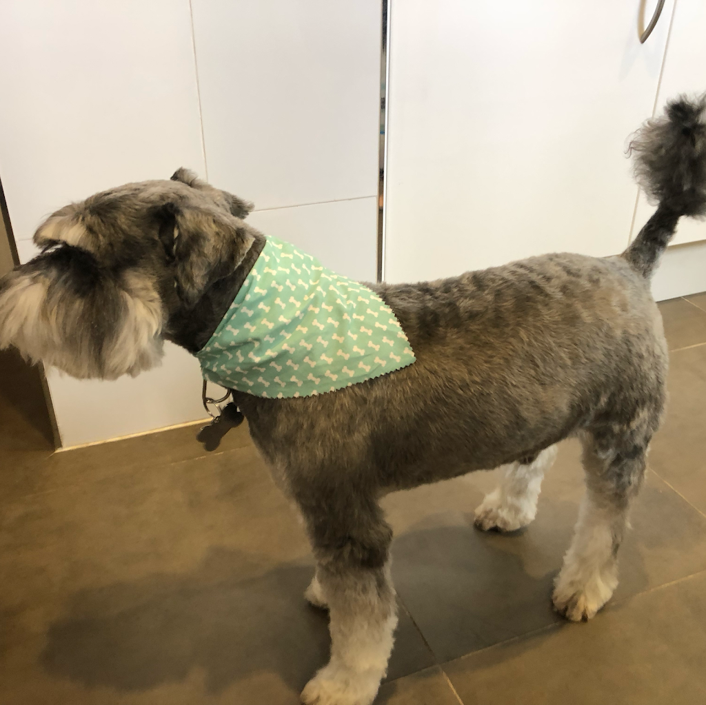 My Furry Tails Dog Grooming Studio | 67 Killeaton St, St Ives NSW 2075, Australia | Phone: 0422 611 035