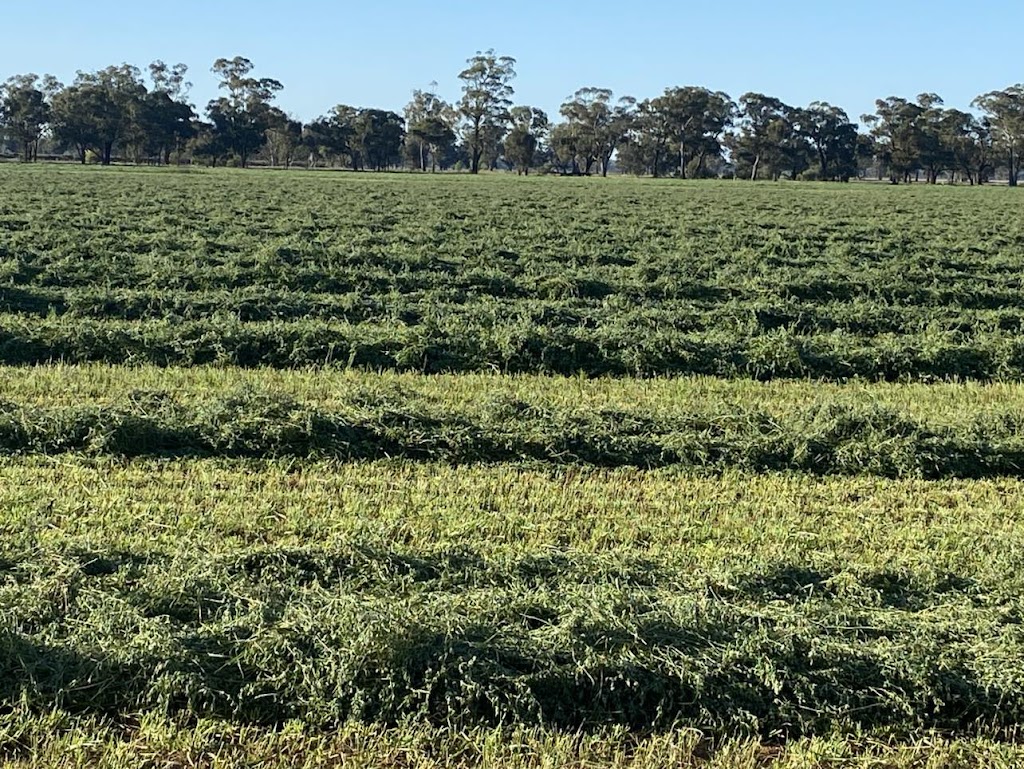 E.K Hay Sales PTY LTD | E Kurrajong Rd, East Kurrajong NSW 2758, Australia | Phone: 0409 238 811