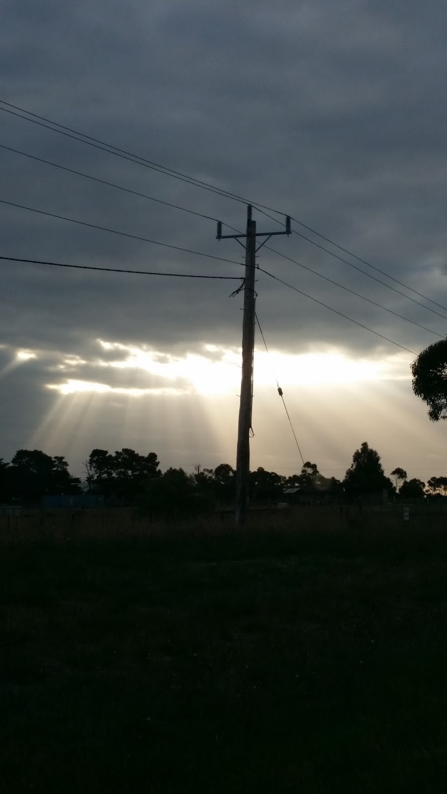 Buninyong Blueberry Farm | 7189 Midland Hwy, Buninyong VIC 3357, Australia | Phone: 0409 316 724