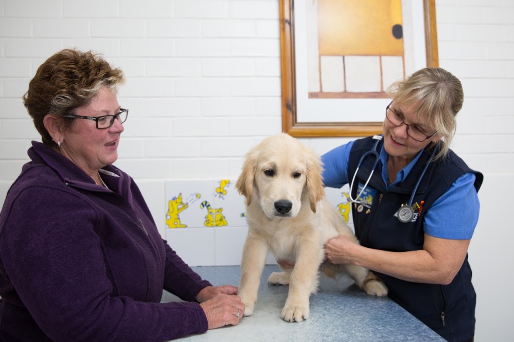 Family Vet Centre Albury | veterinary care | 243 Borella Rd, Albury NSW 2640, Australia | 0260412522 OR +61 2 6041 2522