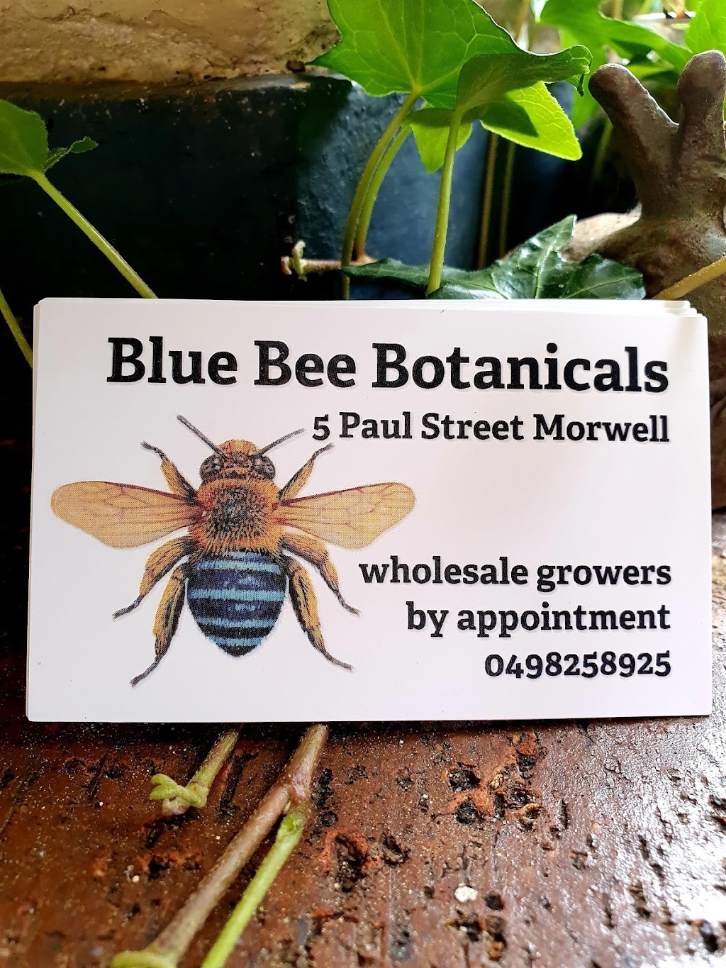 BLUE BEE BOTANICALS | 5 Paul St, Morwell VIC 3840, Australia | Phone: 0498 258 925