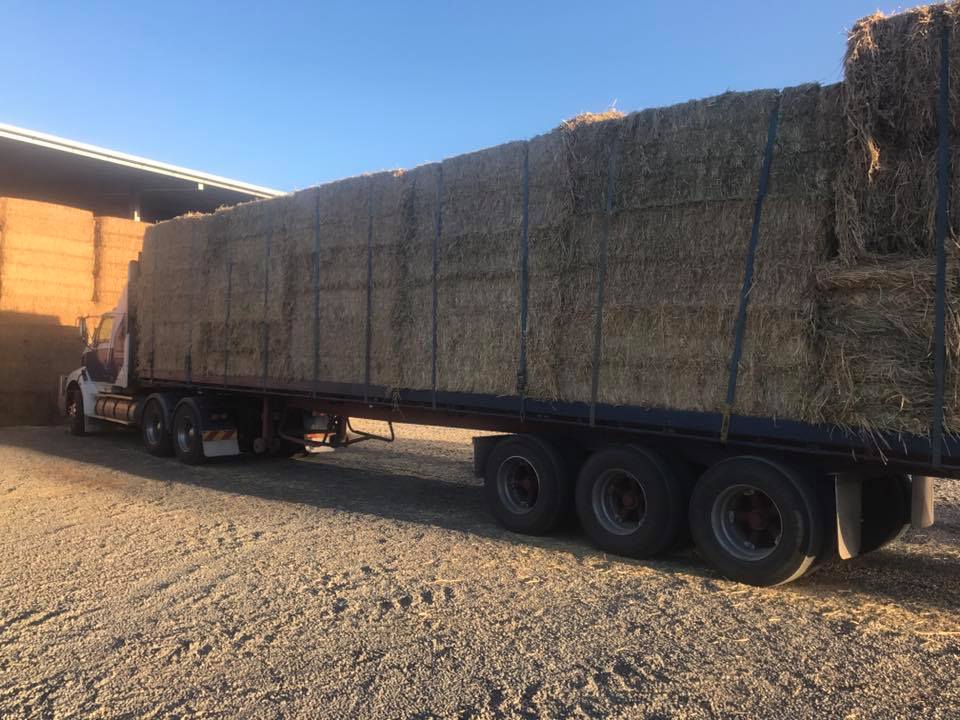 Andrew Gay Transport - Livestock and Hay | moving company | 64 Lumsdens Ln, Koroit VIC 3282, Australia | 0438658198 OR +61 438 658 198