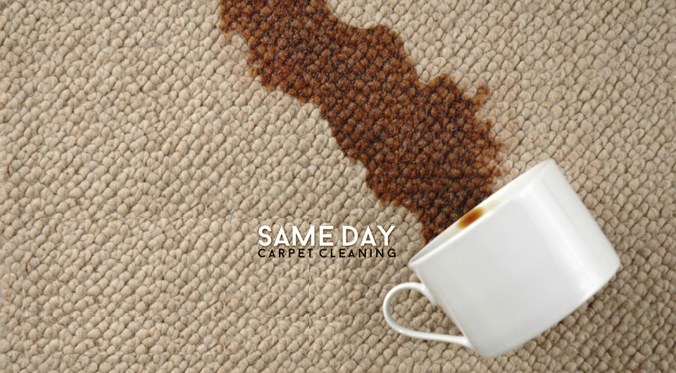 Same Day Carpet Cleaning | laundry | 12 Bell Bird Dr, Bayswater North VIC 3153, Australia | 0403607155 OR +61 403 607 155