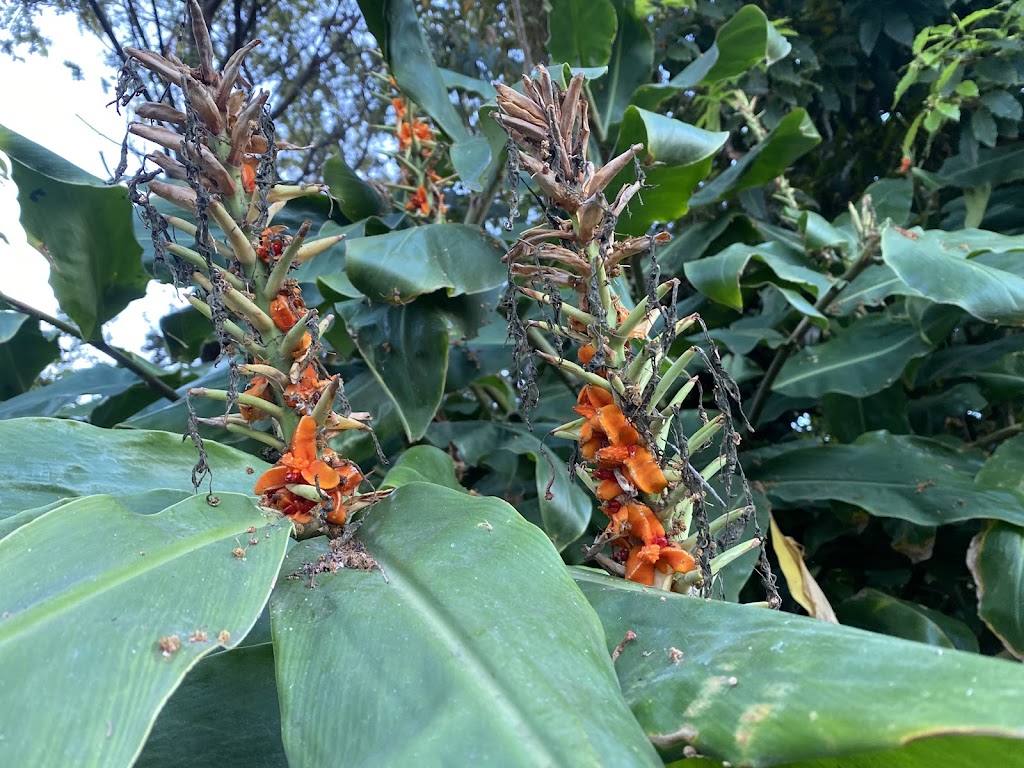 Clara Cove Waterfront Apartments | 12 Clara St, Kalimna VIC 3909, Australia | Phone: 0458 987 904