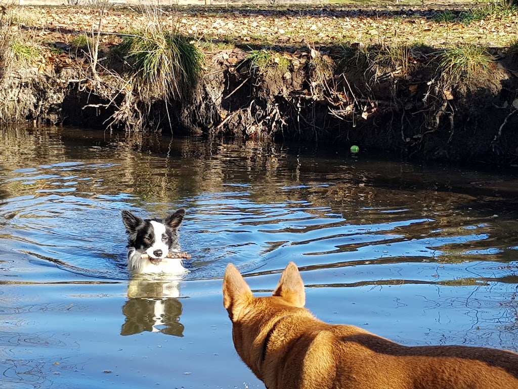 Gosling Creek Reserve Dog Park | park | 21 Bloomfield Rd, Orange NSW 2800, Australia