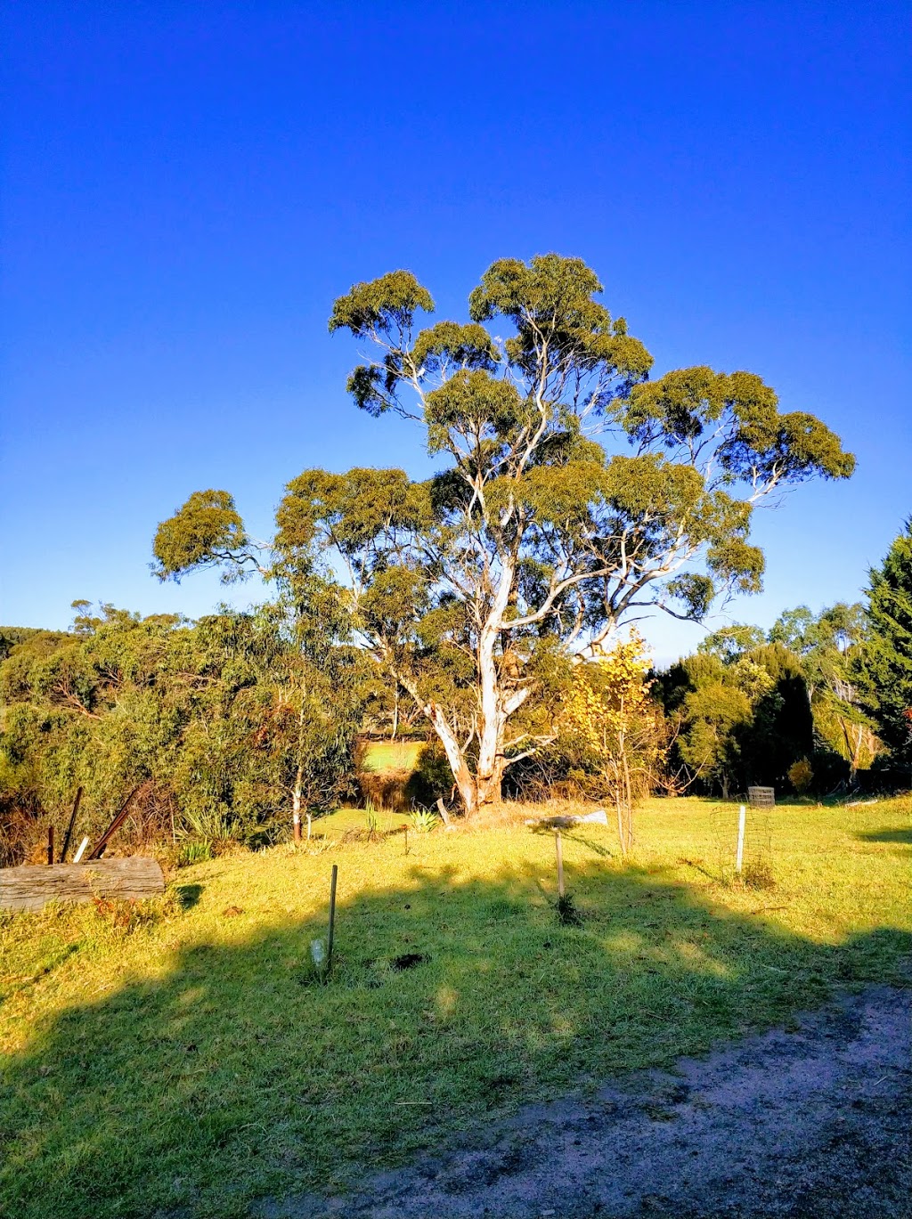 Lisieux Farm Bed & Breakfast | 12 Old Back Valley Rd, Back Valley SA 5211, Australia | Phone: 0438 840 294
