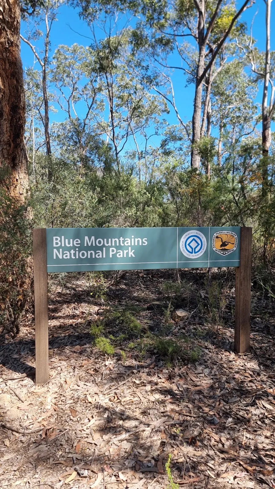 Deeimba Camp Grounds | 183 Mountain Ave, Yarramundi NSW 2753, Australia | Phone: 0418 738 784