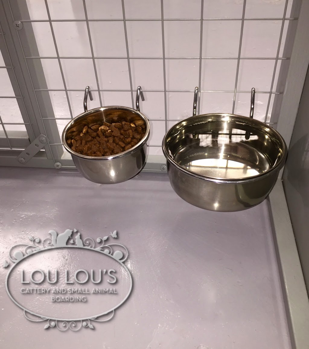 Lou Lous Cattery and Small Animal Boarding Pty Ltd | veterinary care | 8/98-108 Bayfield Rd E, Bayswater North VIC 3153, Australia | 0397209741 OR +61 3 9720 9741