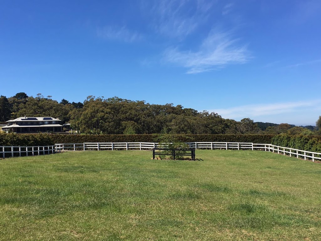 Red Hill Equestrian | 356 Shands Rd, Main Ridge VIC 3928, Australia | Phone: 0439 688 654