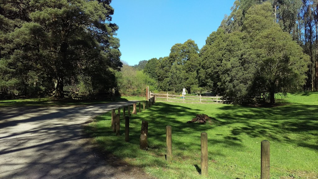 Mount Worth State Park | 301 Allambee Estate Rd, Allambee VIC 3823, Australia | Phone: 13 19 63