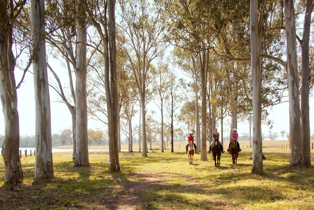 Susan River Homestead Adventure Resort | campground | Lot 56, Noble Rd, Susan River QLD 4650, Australia | 0741216846 OR +61 7 4121 6846