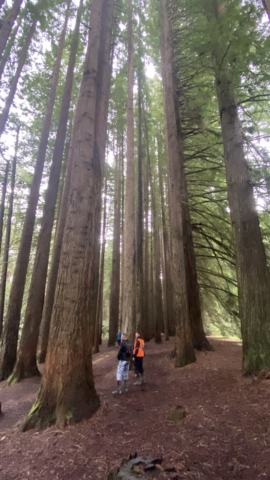 Otway Adventure Motorcycles | 195 Dunse Track, Pennyroyal VIC 3235, Australia | Phone: 0408 765 400