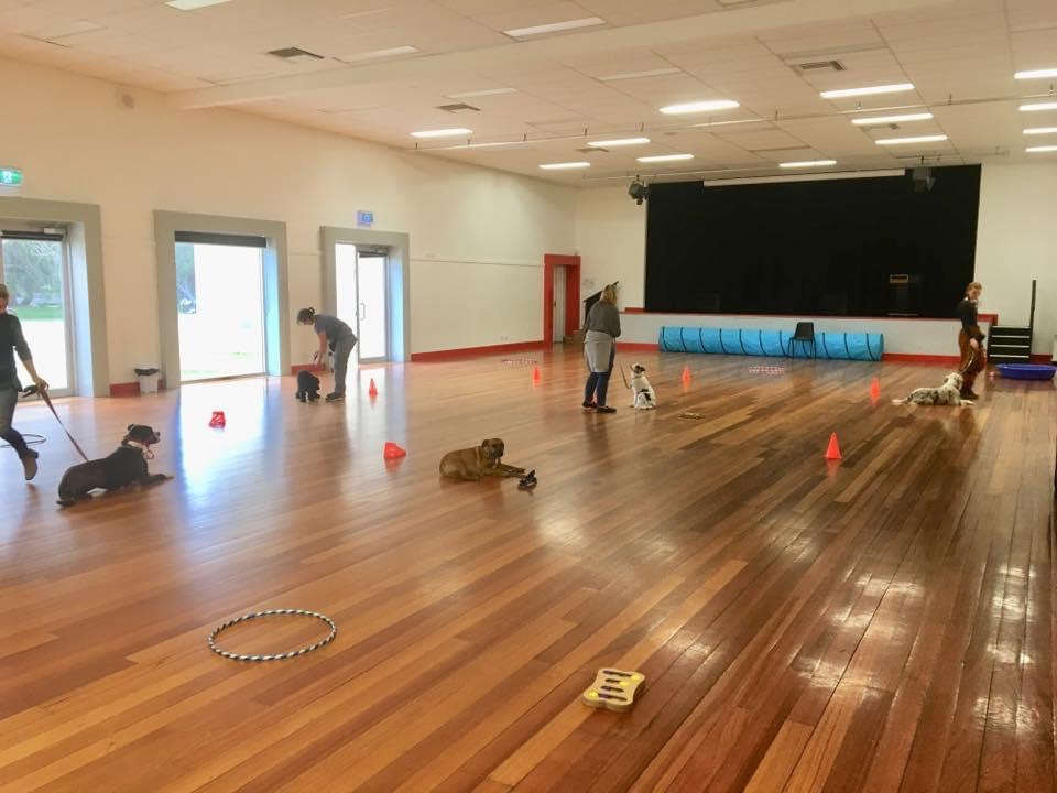 Pawtastic Dog Training |  | 22 Bowen Rd, Point Lonsdale VIC 3225, Australia | 0406389506 OR +61 406 389 506