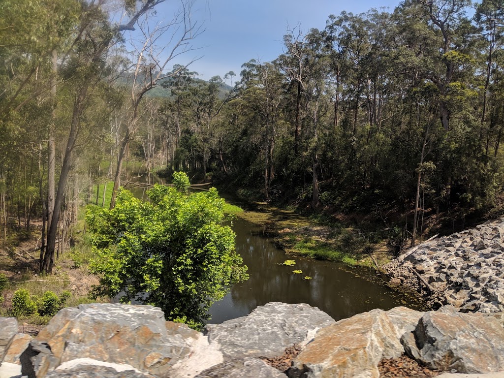 Springbrook Conservation Park | park | Numinbah Valley QLD 4211, Australia