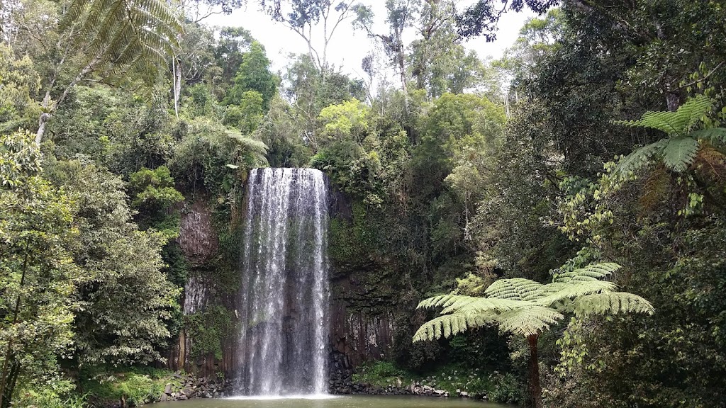 Millaa Millaa Falls Park | park | Millaa Millaa QLD 4886, Australia
