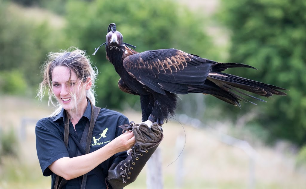 Full Flight Birds of Prey Centre | zoo | 195 Kennedys Rd, Miners Rest VIC 3352, Australia | 0429959991 OR +61 429 959 991