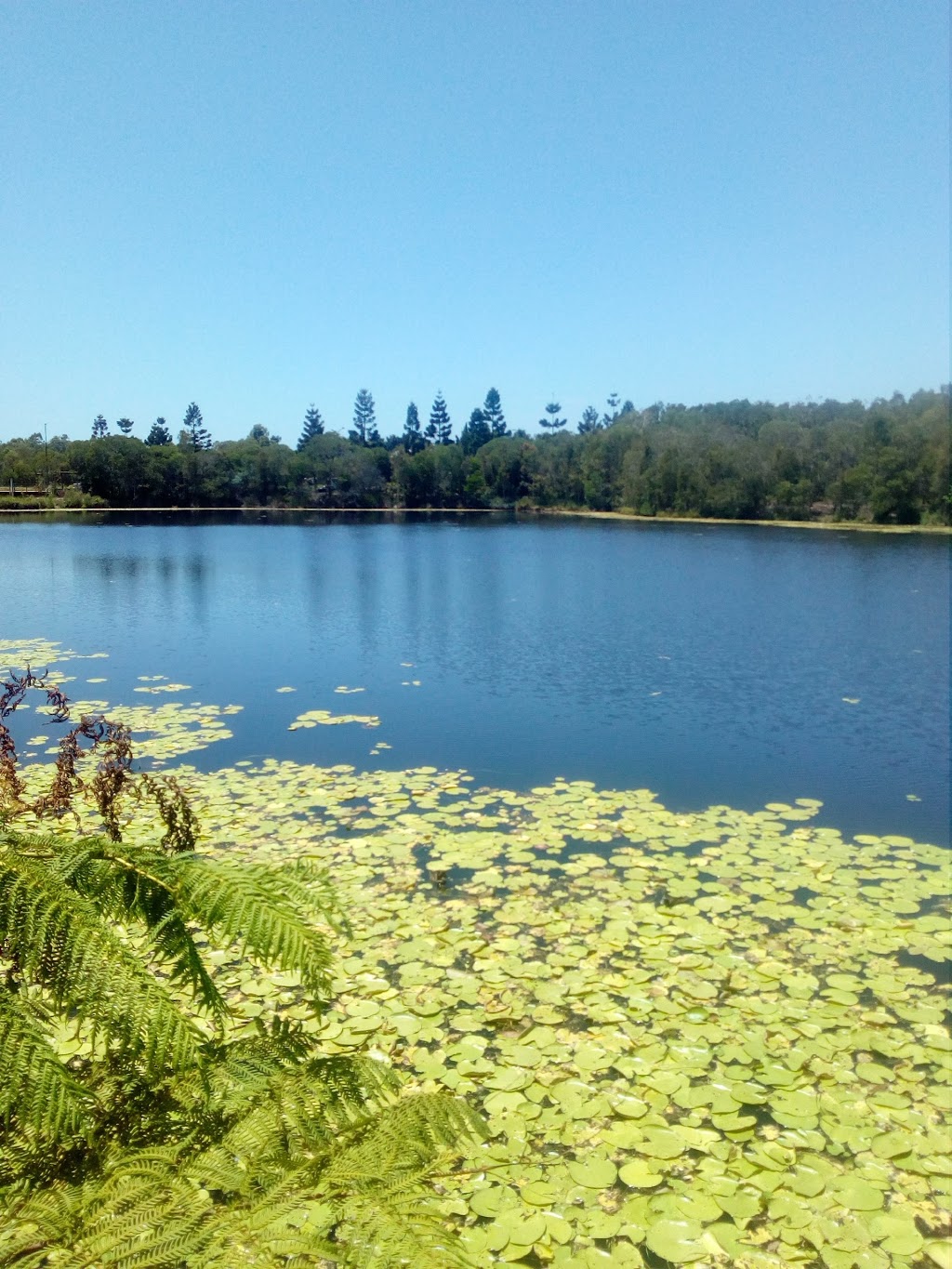 Melaleuca Lakes and Parklands | park | 42 Sandpiper Ave, North Lakes QLD 4509, Australia