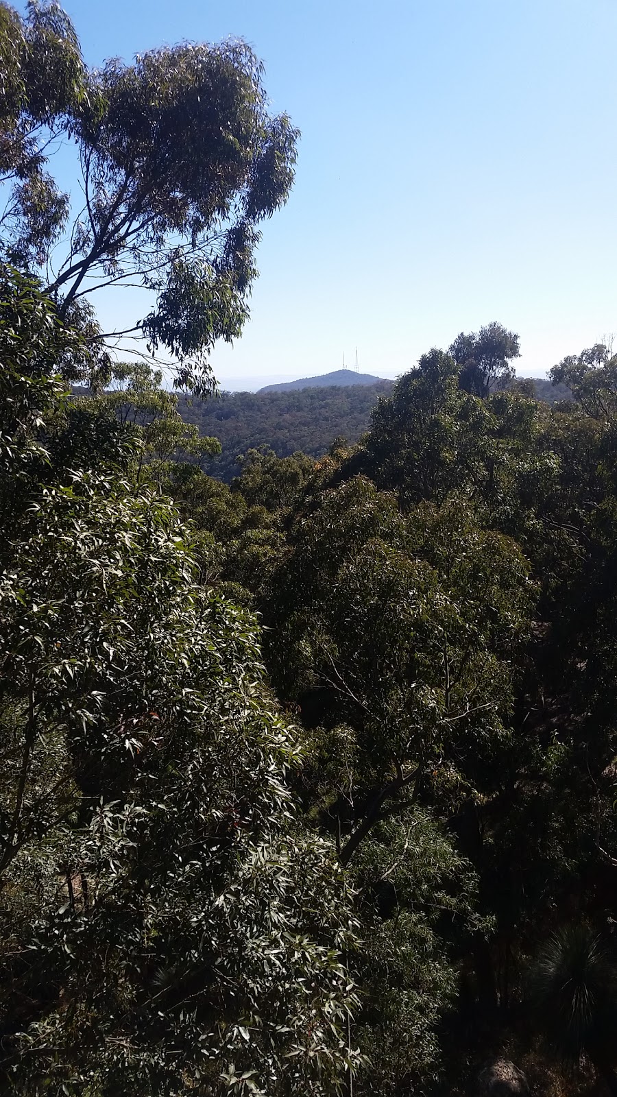 Heaton State Forest | Mount Vincent NSW 2323, Australia | Phone: 1300 655 687