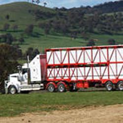 Betts Transport Pty Ltd | Darjeeling Rd, Walcha NSW 2354, Australia | Phone: (02) 6778 0477