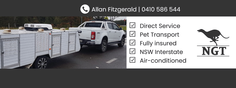 Newcastle Greyhound Transport | 31chichester avenue, Tarro NSW 2322, Australia | Phone: 0410 586 544