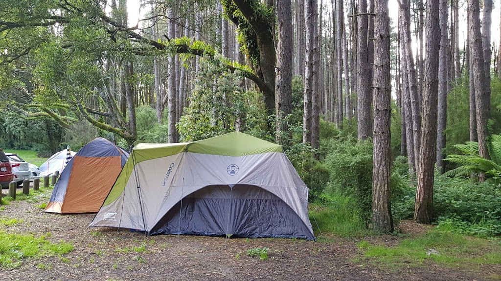 Beauchamp falls campsite | Beauchamp Falls Walking Track, Beech Forest VIC 3237, Australia