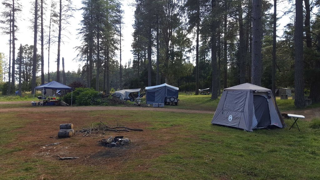 Ponderosa park | park | Hanging Rock NSW 2340, Australia