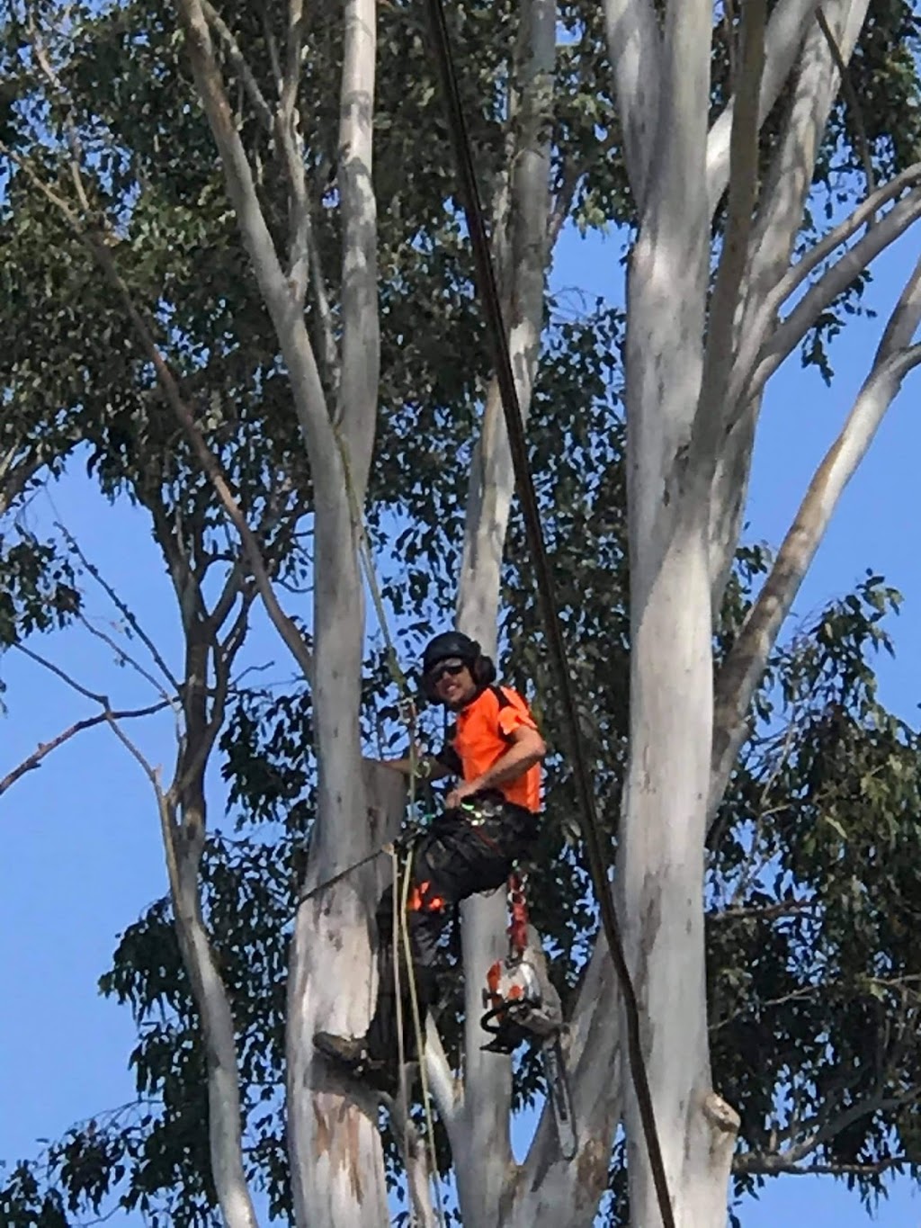 Austins Tree Contracting |  | 58 Elizabeth St, North Richmond NSW 2754, Australia | 0401871444 OR +61 401 871 444