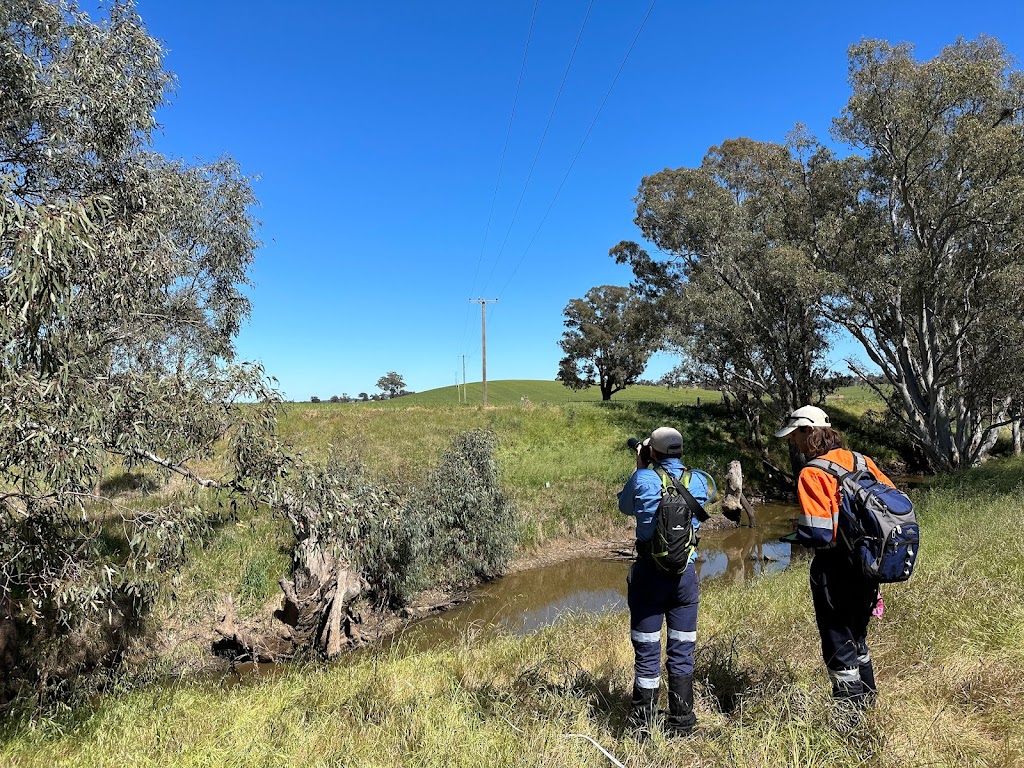 Land Eco Consulting | Unit 4f/6 Jubilee Ave, Warriewood NSW 2102, Australia | Phone: 0408 765 832