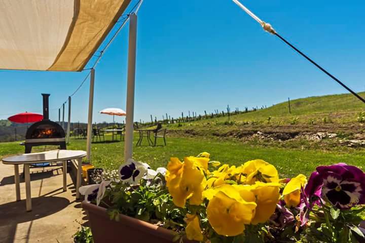 Kangaroo Creek Vineyard |  | 176 Edwards Hill Rd, Lenswood SA 5240, Australia | 0419035440 OR +61 419 035 440