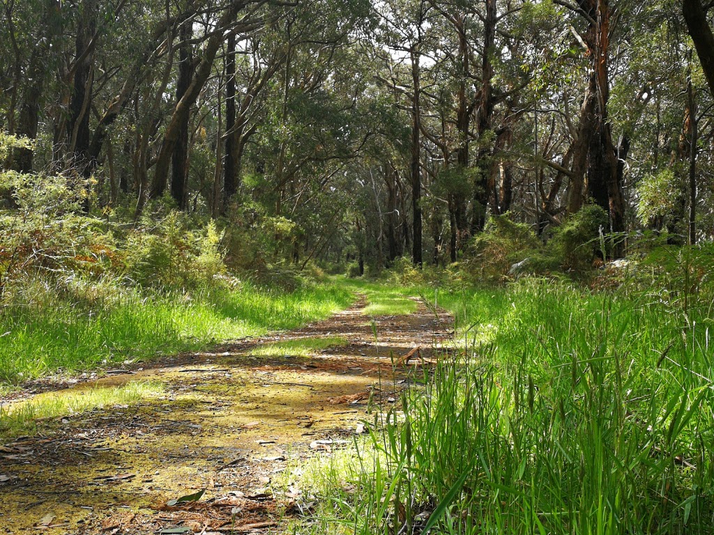 Main Ridge Nature Conservation Reserve | park | 71/79 Barkers Rd, Flinders VIC 3929, Australia | 131963 OR +61 131963