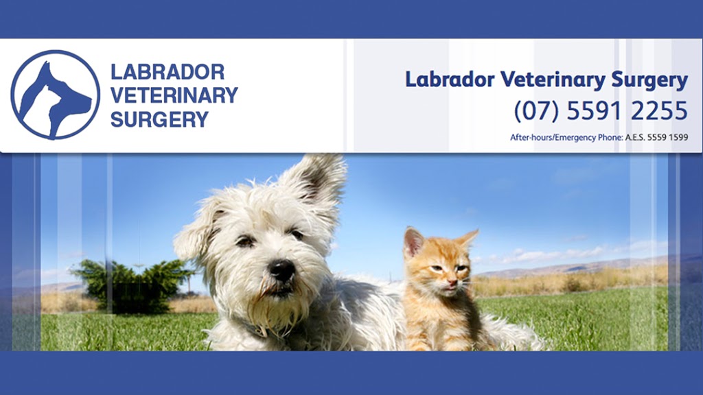 Labrador Veterinary Surgery | veterinary care | 1 Clayton St, Labrador QLD 4215, Australia | 0755912255 OR +61 7 5591 2255
