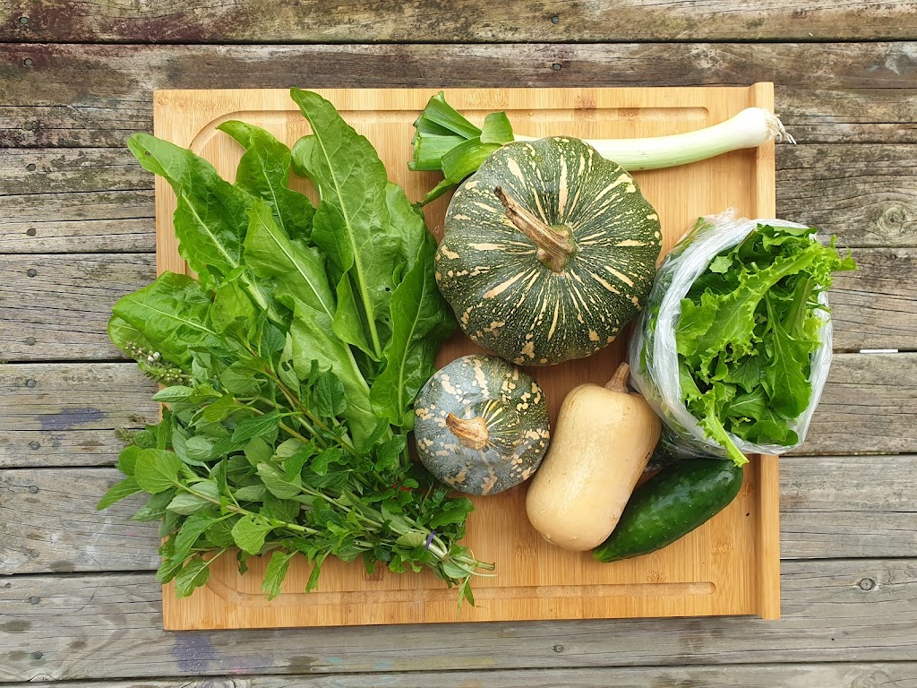 Mustard Seed Small Farm & Photography | 44 Hillside Dr, Glenning Valley NSW 2261, Australia | Phone: 0457 427 350