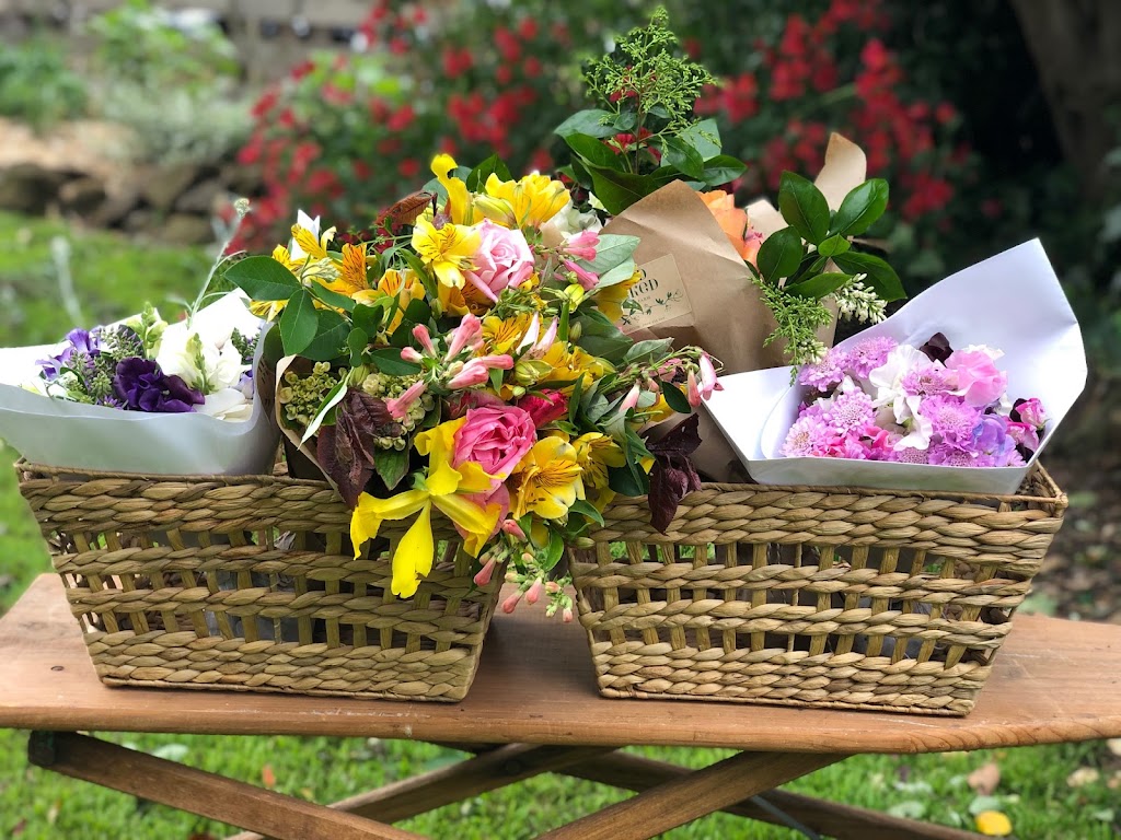 Handpicked Flower Farm | 679 Jancourt Rd, Tandarook VIC 3260, Australia | Phone: 0408 138 969