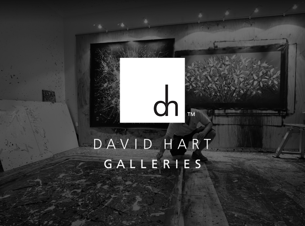 David Hart Galleries | art gallery | 132 Pioneer Rd, Sheldon QLD 4157, Australia | 0411154334 OR +61 411 154 334