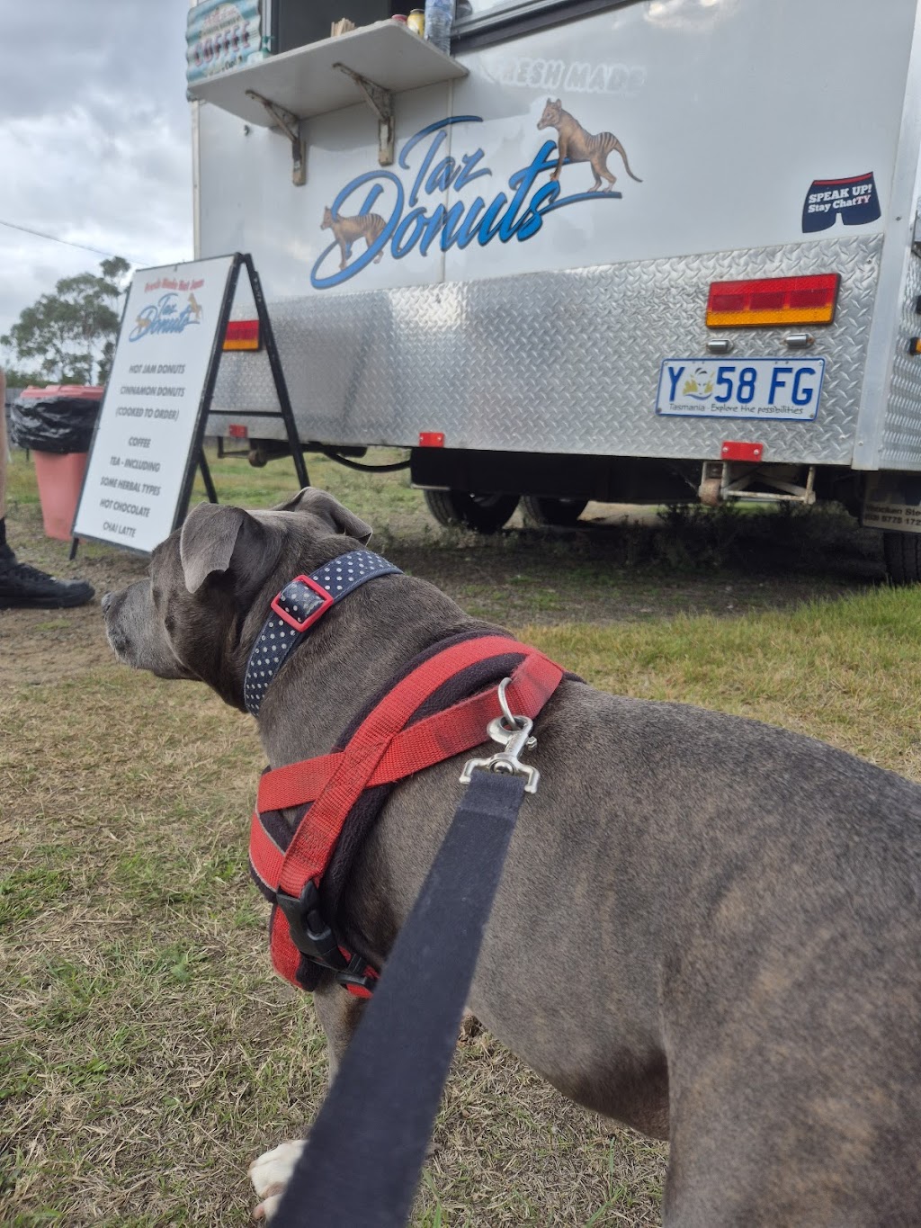 Taz Doughnuts | 135 Arthur Hwy, Dunalley TAS 7177, Australia | Phone: 0429 186 052