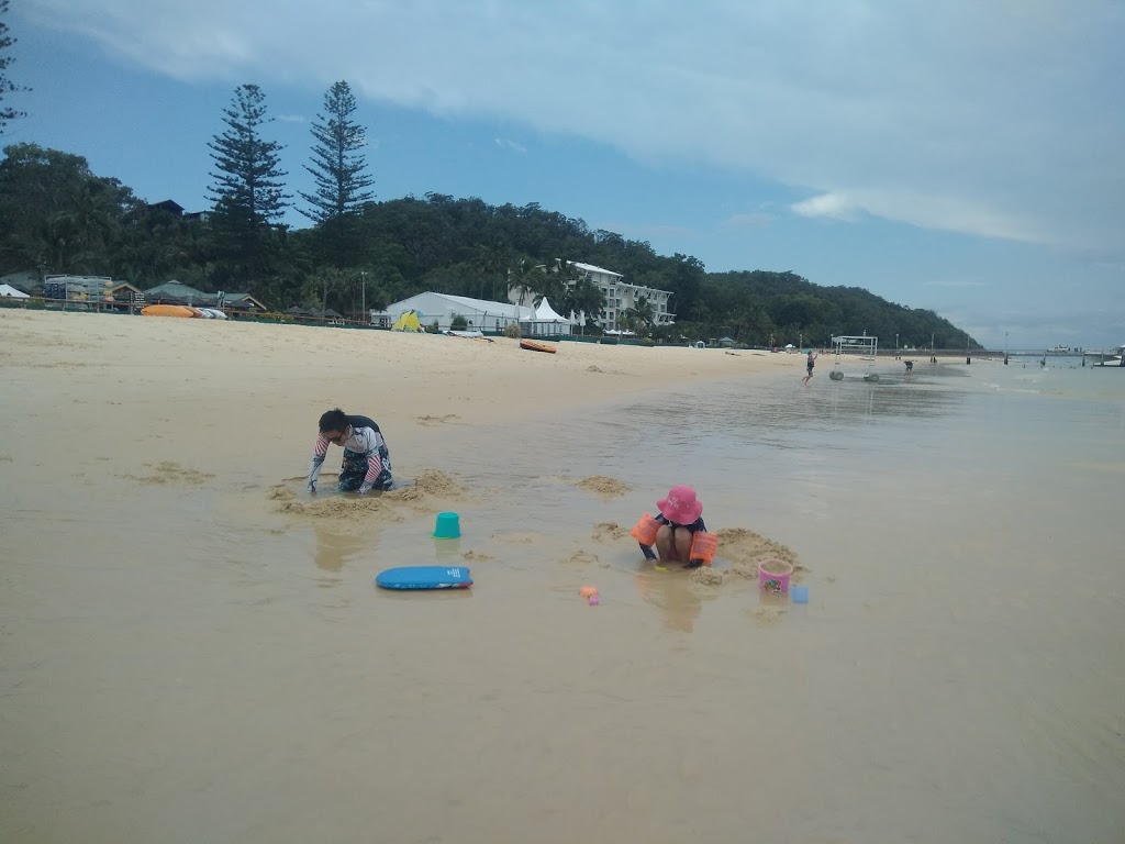 Tangalooma Whale Watch Cruises | 220 Holt St, Pinkenba QLD 4008, Australia | Phone: 1300 652 250