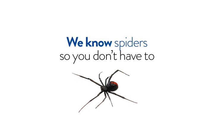 Termitrust Pest Control Ipswich | home goods store | 6 Short St, Bundamba QLD 4304, Australia | 0738162773 OR +61 7 3816 2773