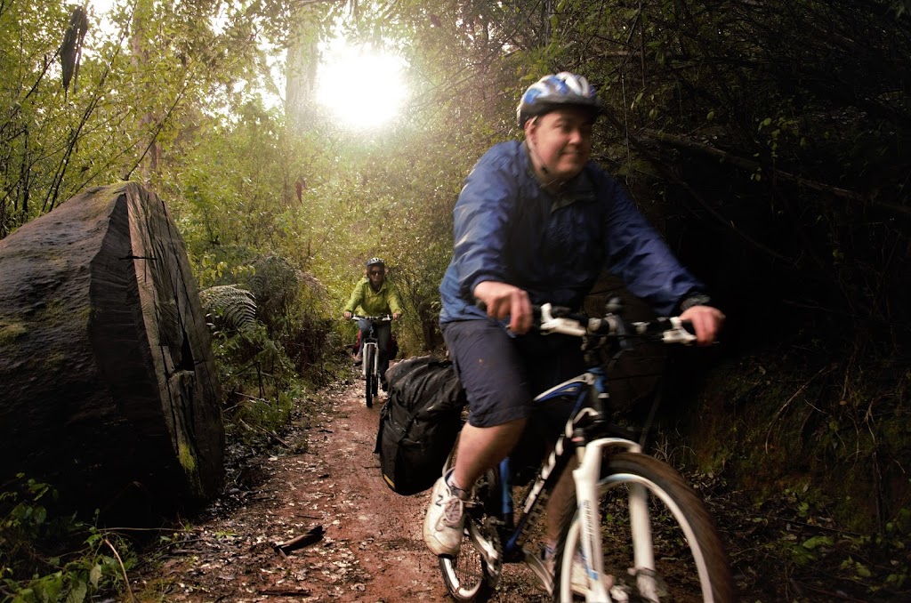 Mountain Bike Hire | 60 Brockman St, Pemberton WA 6260, Australia | Phone: (08) 9776 1151