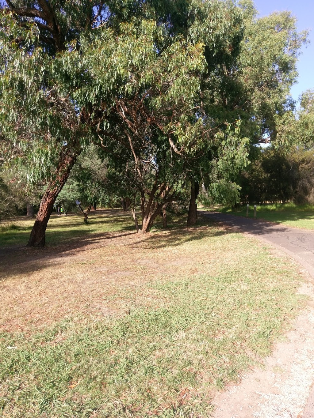 Jells Parkrun | Park Jells, Jells Rd, Wheelers Hill VIC 3150, Australia