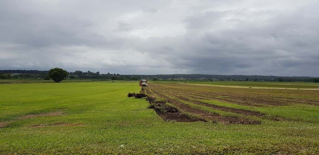 Hawkesbury Turf Supplies | Buy Turf Sydney |  | 275 Pitt Town Bottoms Rd, Pitt Town NSW 2756, Australia | 1300556185 OR +61 1300 556 185