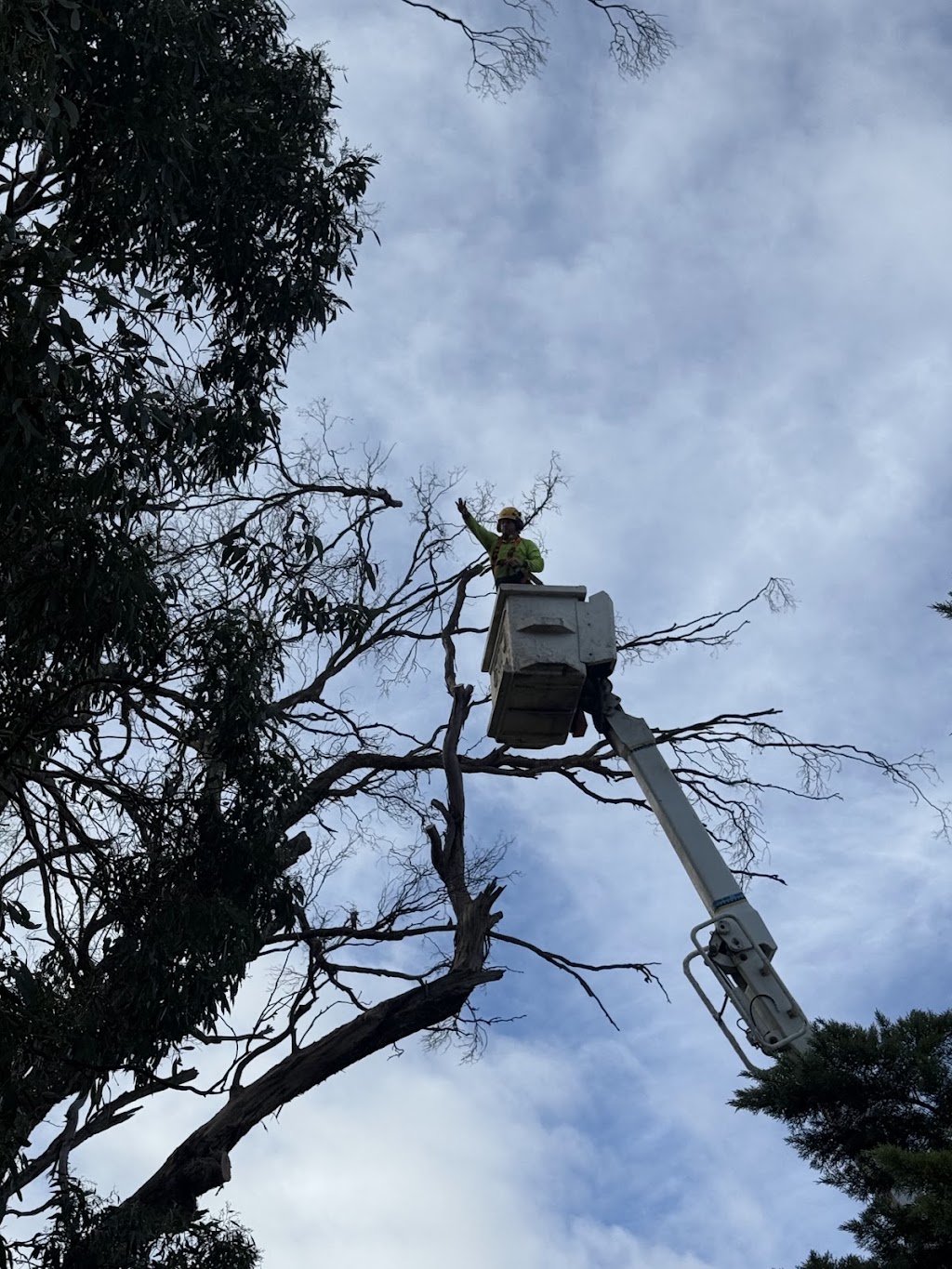 Carrick Trees & Contracting | 570 Stewart’s Rd, Tatura VIC 3616, Australia | Phone: 0457 283 085