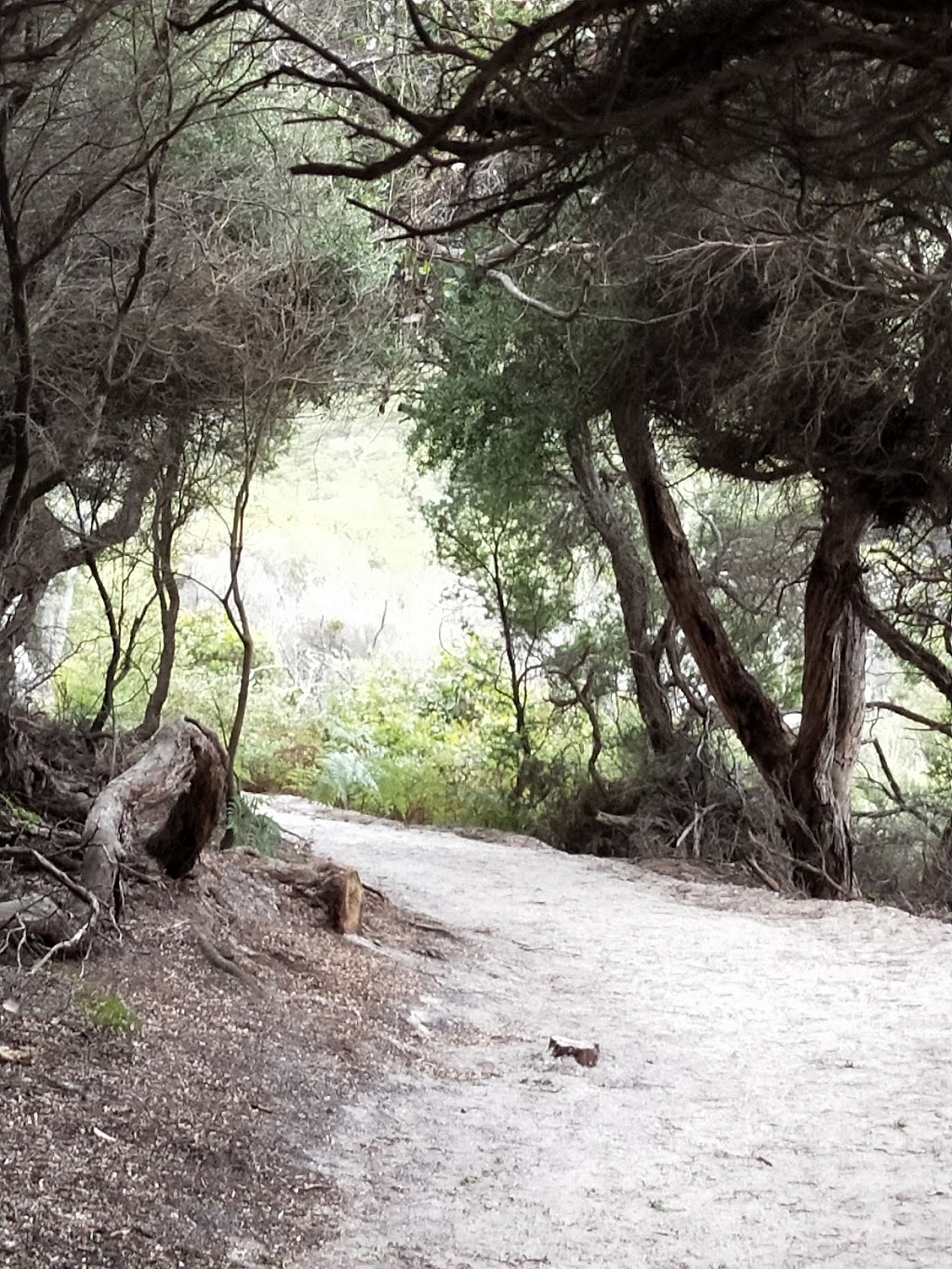 Squeaky Beach | Wilsons Promontory VIC 3960, Australia | Phone: 13 19 63