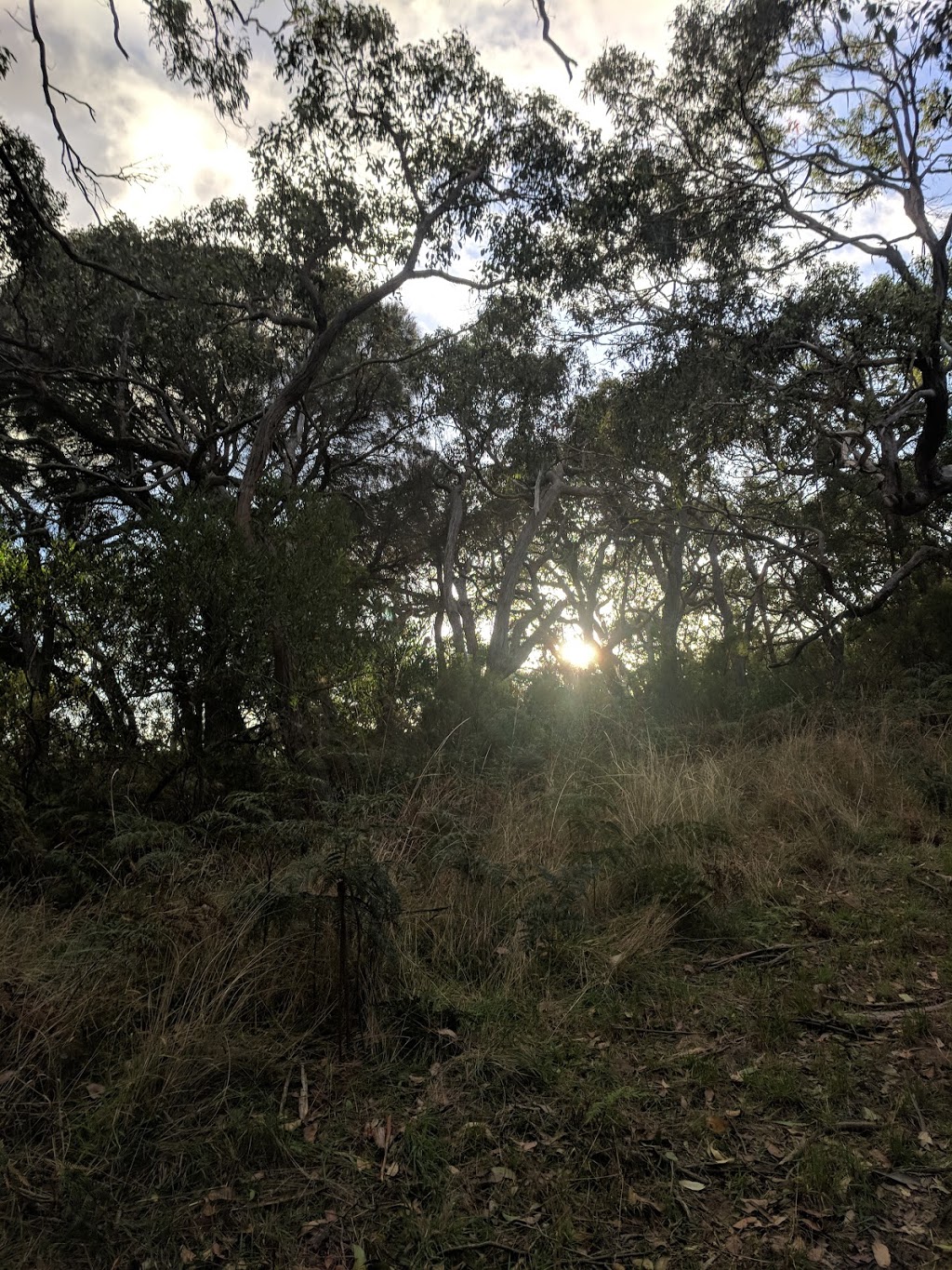 Mount Richmond National Park | park | Victoria 3305, Australia