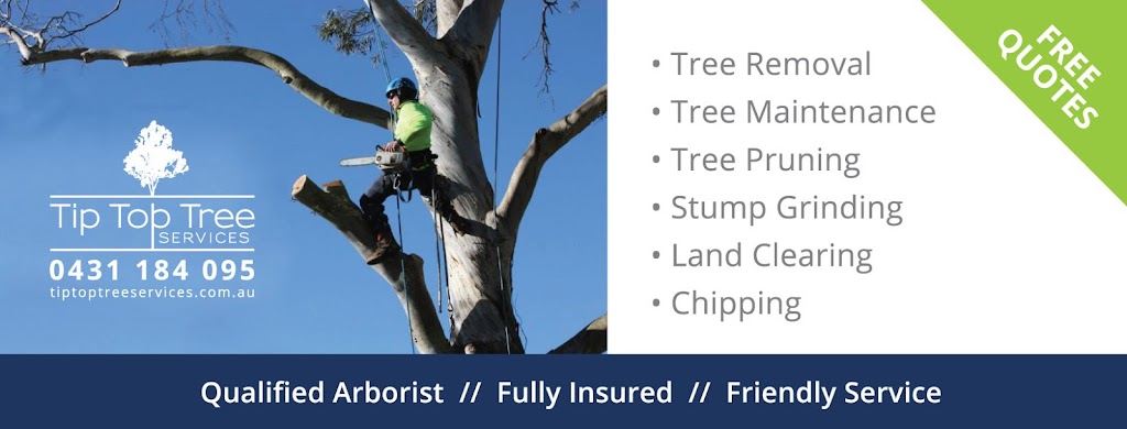 Tip Top Tree Services |  | 7/17 Cemetery Rd, Helensburgh NSW 2508, Australia | 0431184095 OR +61 431 184 095