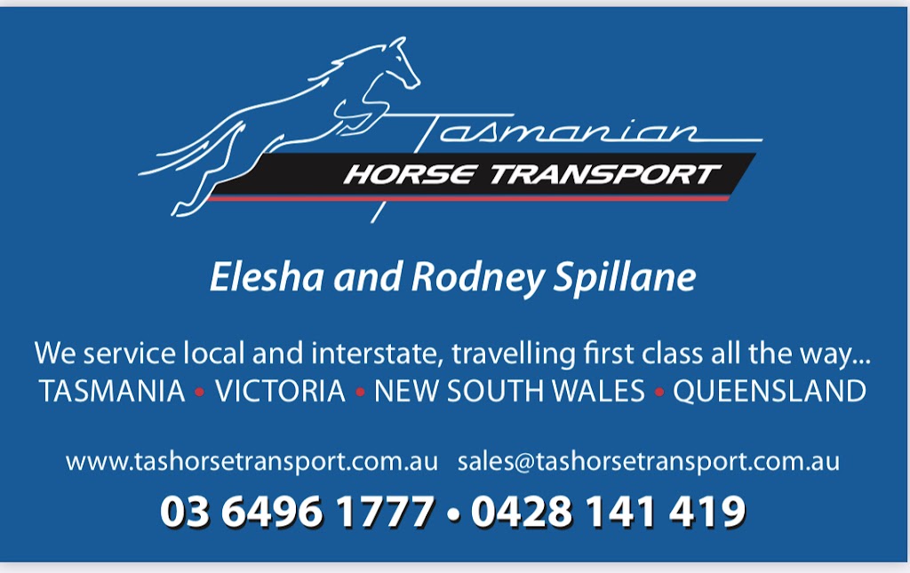 Tasmanian Horse Transport | Brooklyn, 1134 Melrose Rd, Lower Barrington TAS 7306, Australia | Phone: 0428 141 419