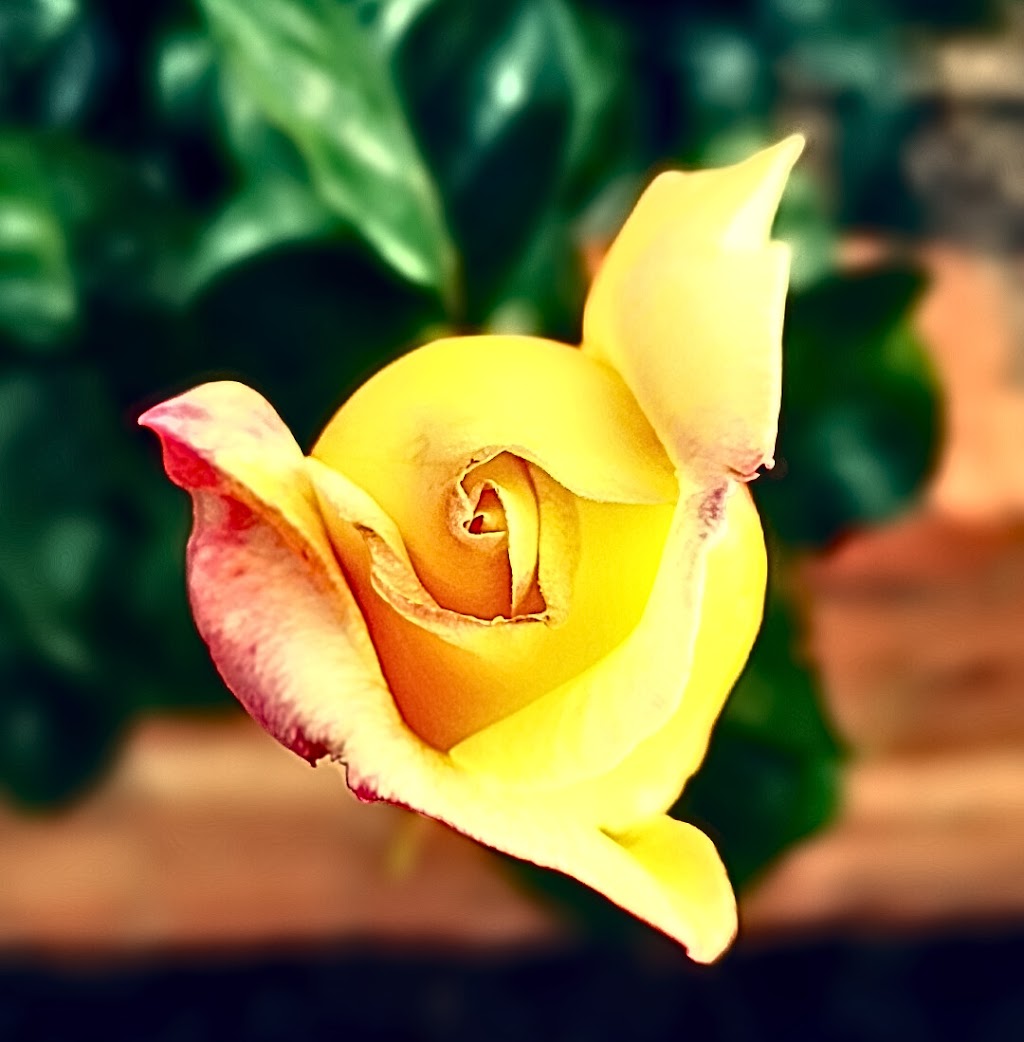 ELYSIUM MediaLabs | 45 Kenna Ave, Hamilton VIC 3300, Australia | Phone: 0494 163 040